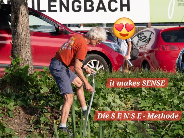 it makes sense titelbild